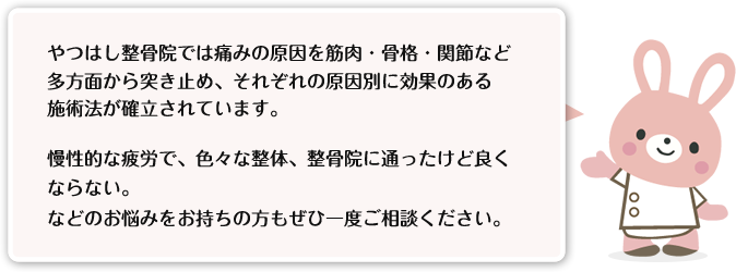うさぎからのメッセージ